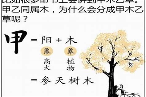 乙木怎麼算|八十天干詳解——乙木